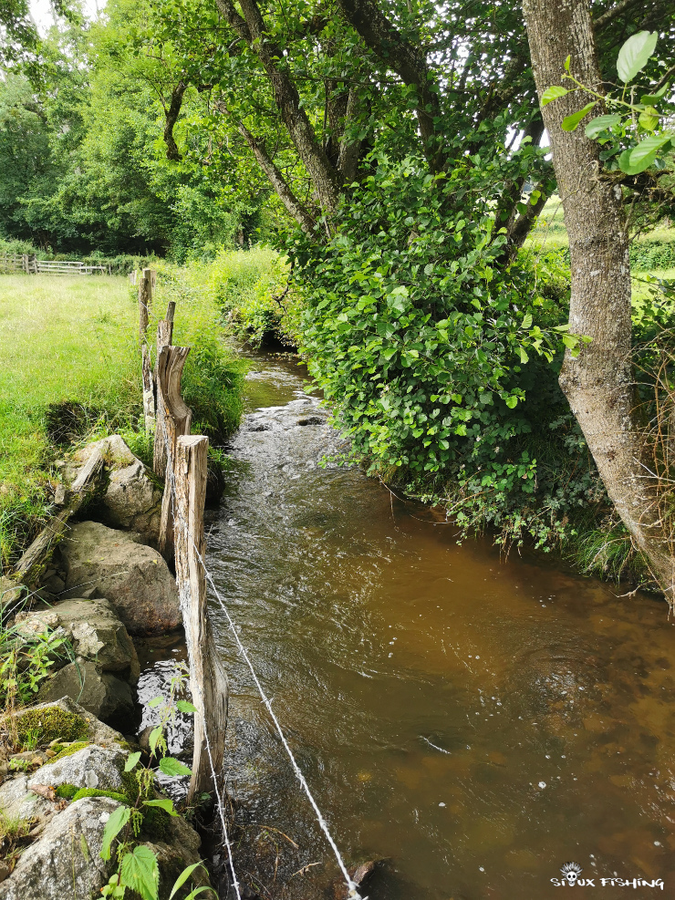 Un ruisseau du Haut Clunisois